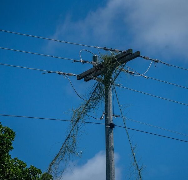 Smart Digital Infrastructure 2087193280 for Growth