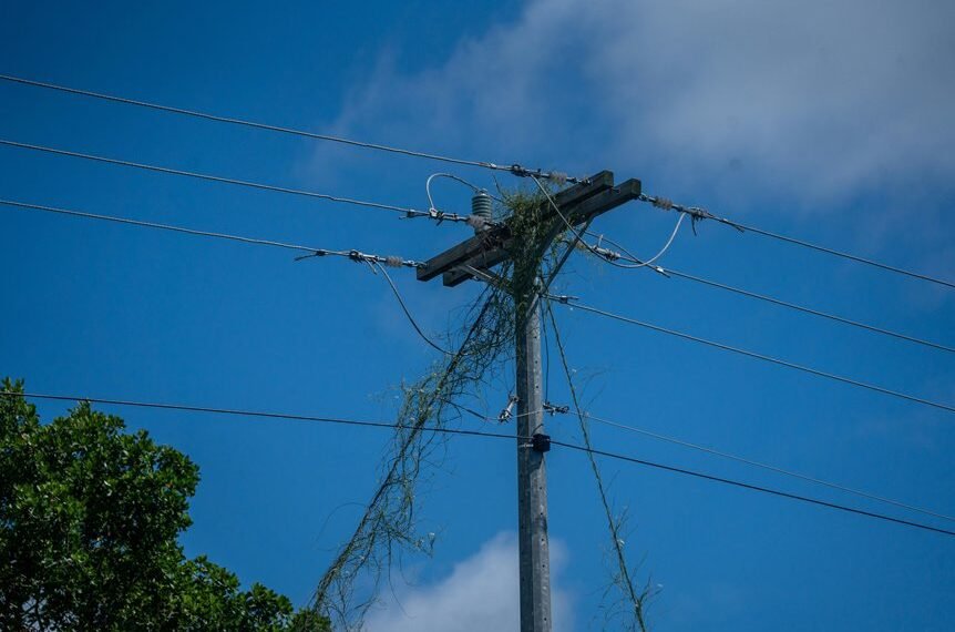 Smart Digital Infrastructure 2087193280 for Growth